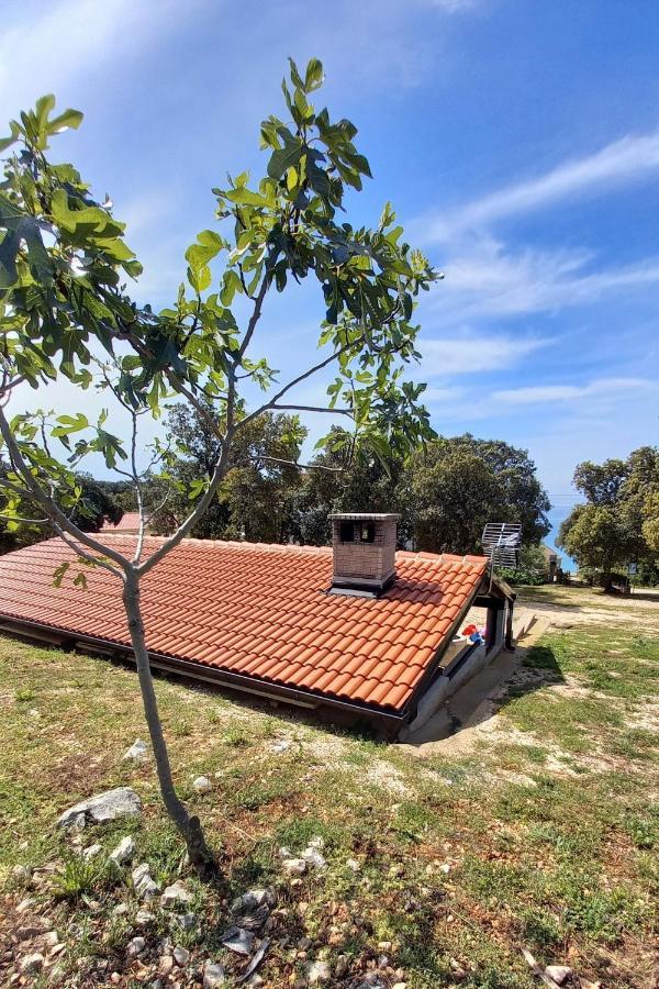 Apartments By The Sea Cove Mulobedanj, Pag - 6275 Lun  Exterior photo